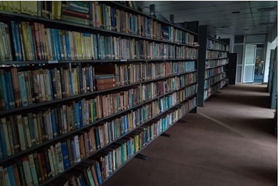 Library View