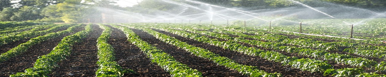 Irrigation Image